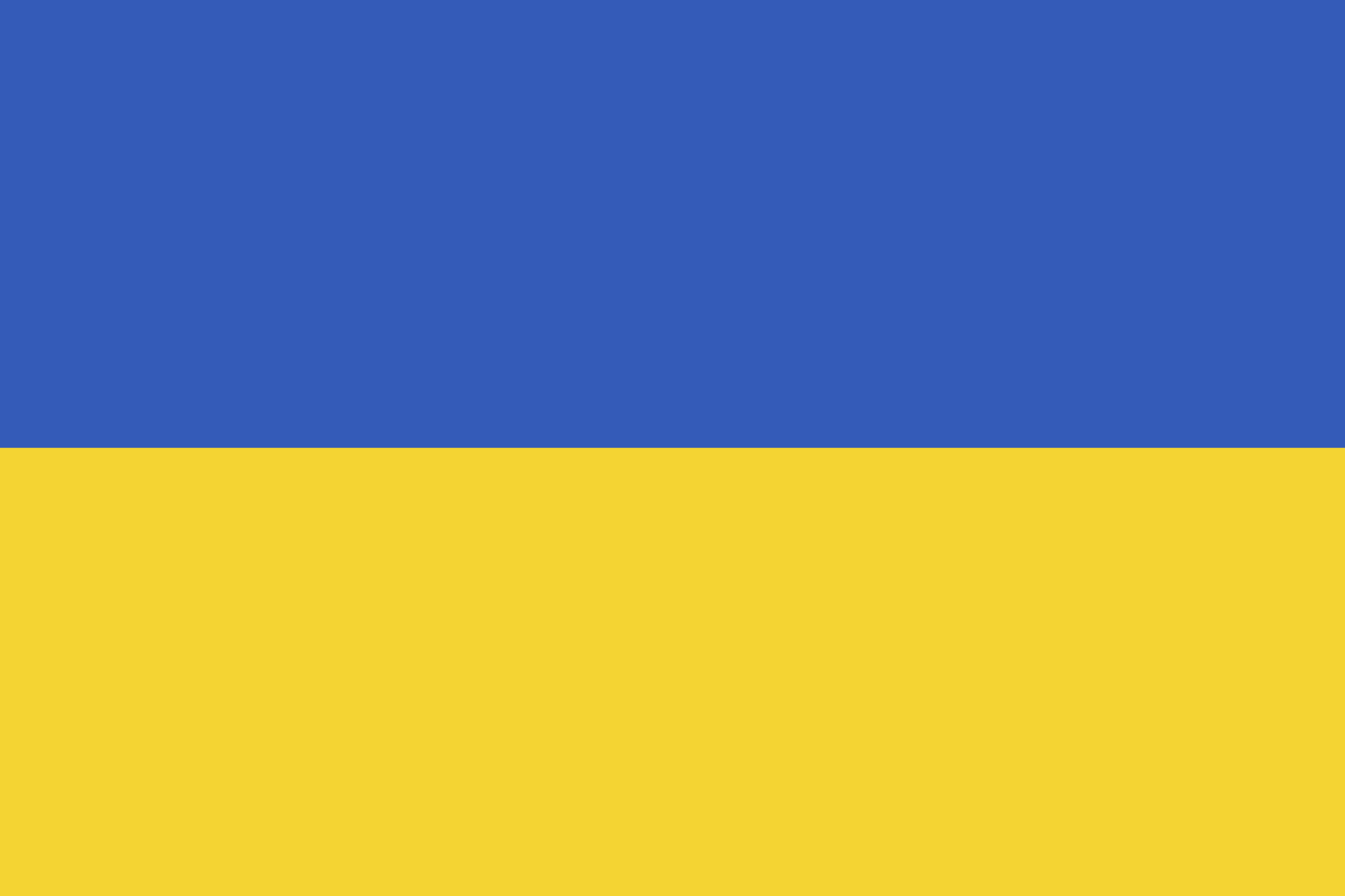 Flag of Ukraine copia